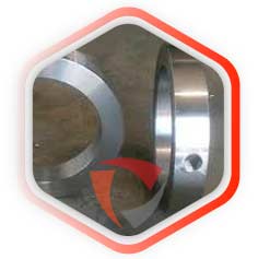 304L Stainless Steel O Rings
