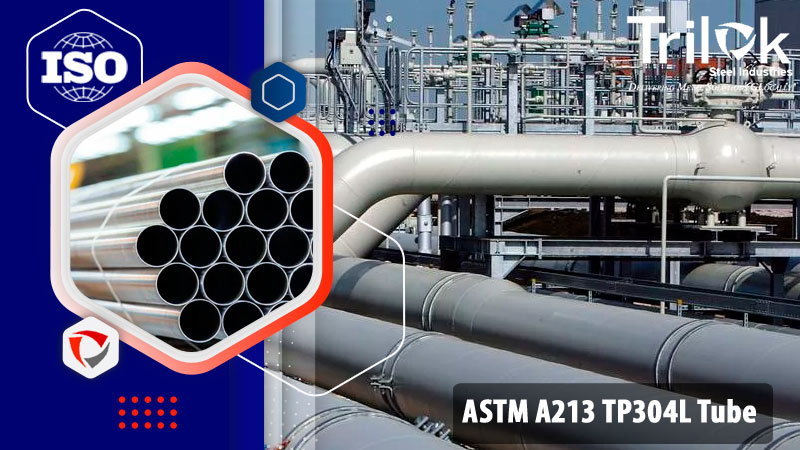 ASTM A213 TP304L Tube ASTM A213 TP304L Tube