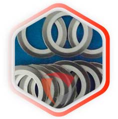 SS 304 Gasket