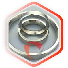 SS 304 Ring Gaskets