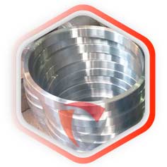 SS 316 Forged Rings