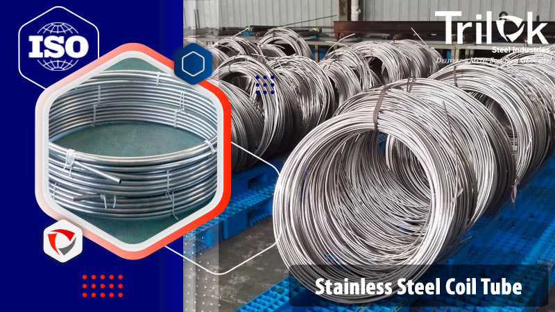 Stainless Steel Coil Tube
