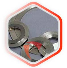 Stainless Steel Gaskets